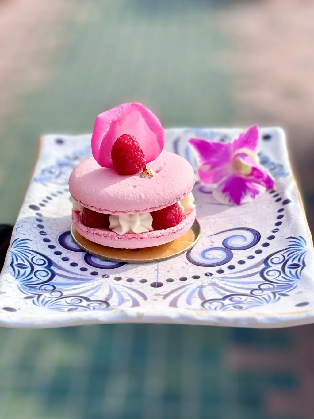 ماكرون روز باري